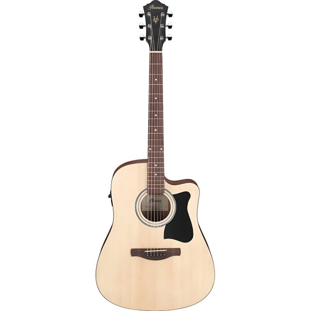 236045 ibanez v40ce opn 1 1200x800